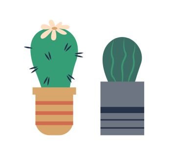 Cactus in pot vector, isolated icon of plant with thorns and flower on top. Nature decoration for home, botanical elements, pottery and house decor. Cactus Plant Growing in Pot, Cacti Flowering Set