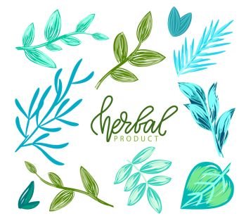 Herbal product vector, green and blue hues of foliage and flora of plants, healthy ingredients and organic base of productions greenery and freshness. Herbal Product, Foliage Leaves of Plants Vector