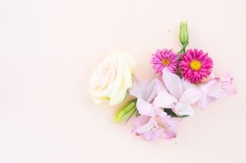Flowers composition made of daisy and eustoma flowers on pink background. Flat lay, top view scene.. Ranunculus flat lay composition