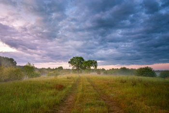 Summer misty sunrise on meadow. Country road green fields. Two large oak trees in morning
fog. Overcast rainy clouds. Belarus, Berezina river
