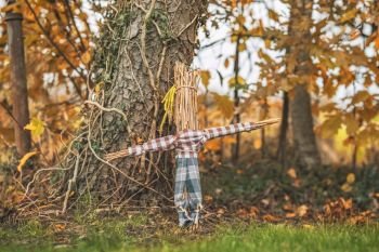 Rural scarecrow standing in a garden in the autumn with shirt and pants