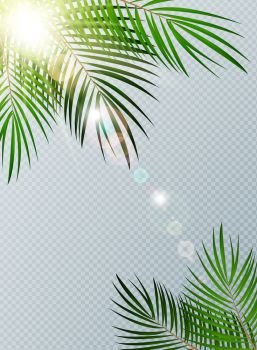 Summer Time Palm Leaf with sunbeam on Transparent Vector Background Illustration EPS10. Summer Time Palm Leaf with sunbeam on Transparent Vector Background Illustration