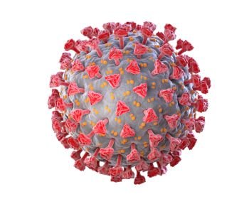 Illustration of Coronavirus. Clipping path included. 3D illustration. Illustration of Coronavirus Isolated on white background