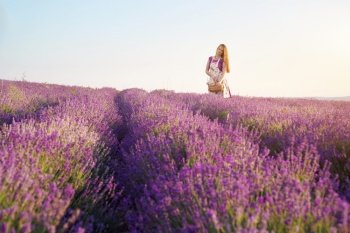 Cute girl collect lavender on meadow at sunset. Nature and pepople scene. 