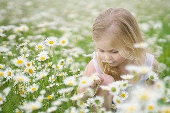 Cute little girl in big camomile meadow smelling
flower. Portrait composition.