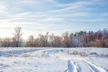 Winter landscape with a road on the white snowy expanse and a forest against the blue sky with light wavy clouds
