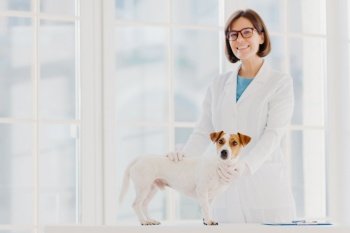 Full checkup and diagnostic. Positive skilled female vet in white uniform examines jack russell terrier dog in own clinic, writes down prescription, has animals as patients, cures various diseases.