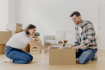 Horizontal shot of lovely woman moves cardboard box with small puppy to husband side, spend free time together, move in new modern dwelling, unpack belongings, start new life in modern flat.