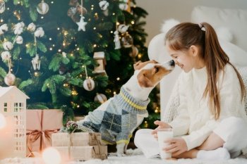 Magic time and domestic atmopshere. Happy friendly child and dog kiss, expresses love and care about each other, drinks fresh milk, have rest after decorating Christmas tree. Children, pets.