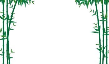 Vector illustration of green bamboo template background 