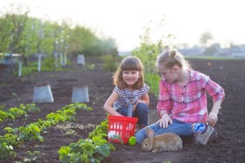 girls and rabbits  in the garden. happy childhood in the village

