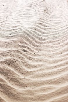 summer. sand background on the beach
