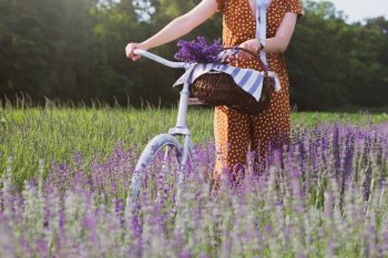 Provence - girl with a retro bicycle and a basket of lavender in a lavender field. France

