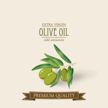 Olive oil label pattern, vector isolated. Olive branch oil label cartoon style, vector, isolated