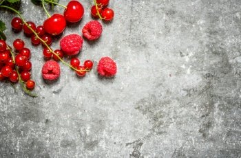 Red forest berries . On a stone background.. Red forest berries . On stone background.