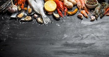 Fresh seafood. A wide range of shrimp, lobsters, octopus and other marine life. On a black chalkboard.. Fresh seafood.