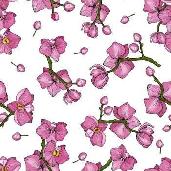 Abstract Fllower drawing. Realistic orchid isolated seamless flower pattern. Vintage set. Wallpaper. Hand drawn. Vector illustration.
