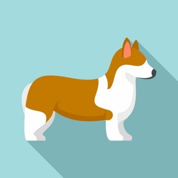 Corgi pet icon. Flat illustration of corgi pet vector icon for web design. Corgi pet icon, flat style