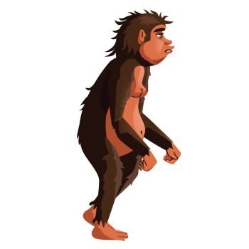 Ancient monkey or homo erectus, human ancestor cartoon vector illustration. Tailless great ape, primates, one of stages in Darwin evolutionary theory, isolated on white background. Ancient monkey, human ancestor illustration