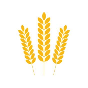 Agriculture wheat Logo Template, wheat ears. Vector stock illustration. Agriculture wheat Logo Template, wheat ears. Vector stock illustration.