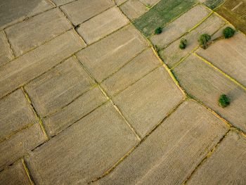 Aerial picture of a large agricultural plot Preparing to grow rice, Drone photography