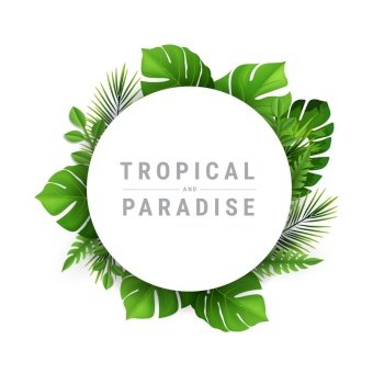 Tropical and paradise Vector Illustration with place for your text. Exotic Plants Background, Frame Design with Leaves	