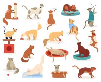 Cartoon cats. Cute kitten characters, funny fluffy playful cats, pedigree breeds pets, adorable kitty pets vector illustration icons set. Kitten and cat, pet animal breed, fluffy domestic feline. Cartoon cats. Cute kitten characters, funny fluffy playful cats, pedigree breeds pets, adorable kitty pets vector illustration icons set