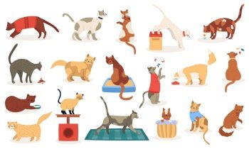 Funny cats. Cute adorable kitty cats, sleeping playing pedigree breeds pets, domestic kitten characters isolated vector illustration icons set. Domestic pet cat, pedigree and breed character. Funny cats. Cute adorable kitty cats, sleeping playing pedigree breeds pets, domestic kitten characters isolated vector illustration icons set