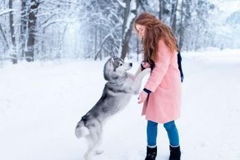 Pretty woman with playful husky dog, snowy forest on background. Cute girl with funs with charming pet. Pretty woman with playful husky dog