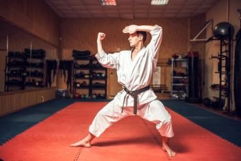 Martial arts karate master in white kimono and black belt on fight training in gym practicing kata. Martial arts master on fight training in gym