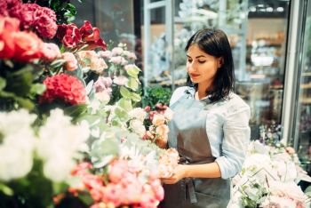 Female florist selects flowers for making a bouquet in floral shop. Floristry service, floristic business. Female florist selects flowers for making bouquet