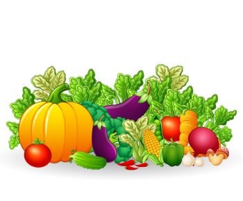 fruits and vegetables cartoon illustration
