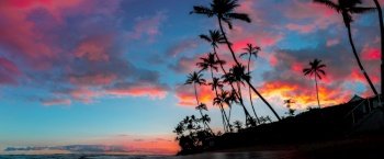A beautiful panorama of tall palm trees and amazing breathtaking red and purple clouds in the sky. Beautiful panorama of tall palm trees and amazing breathtaking red and purple clouds in the sky