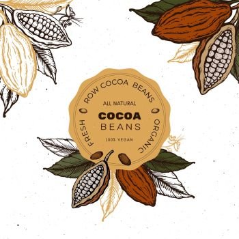 Cocoa beans Vintage Hand drawn retro sketch label illustration. Chocolate cocoa powder bean, tree branch, nuts, seeds and leaves. Vector for labels, badge, tags, decorative elements and more.. Cocoa beans Hand drawn vintage sketch illustration label