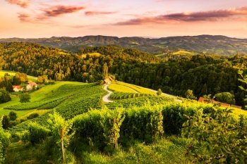 Famous heart shaped street at vineyards in Slovenia close to the border with Austria south styria. tourist destination. Famous heart shaped street at vineyards in Slovenia close to the border with Austria south styria.