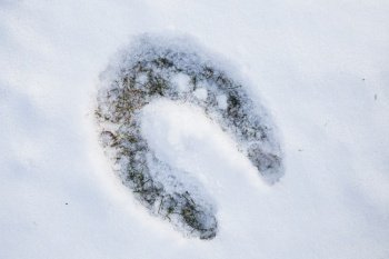 Footprint of horseshoe in snow. Footprint of a Horse in Snow