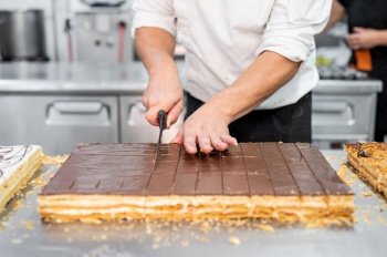 Close-up of a pastry chef cutting a large cake in portions at pastry shop. High quality 4k footage. Close-up of a pastry chef cutting a large cake in portions at pastry shop. 