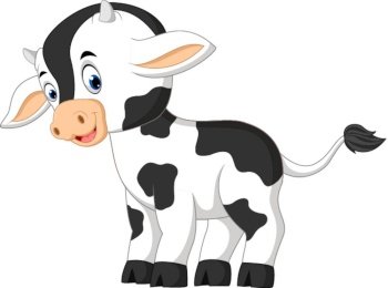 Cute baby cow cartoon	