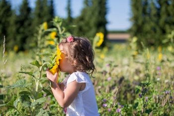 One little girl in a field of sunflowers. A little girl in a field of sunflowers