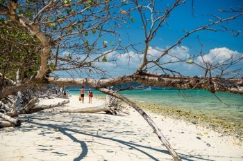Foreign tourist couple walk on white sand beach with big tropical tree foreground at koh Poda island, Krabi, Thailand. Famous travel destination in Thai southern especially in summer.