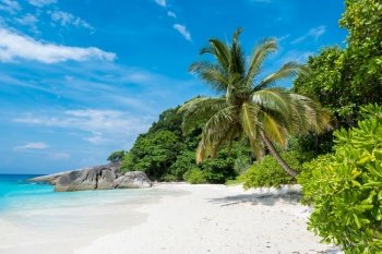 Beautiful view with blue sky and clouds, blue sea and white sand beach with coconut tree on Similan island, No.8 at Similan national park, Phuket, Thailand is most popular for tourist. Copy space background for vacation.