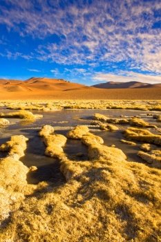 Vegas de Quepiaco salt lake and lagoon in the Altiplano (high Andean plateau) at an altitude of 4400m, Atacama desert, Chile, South America