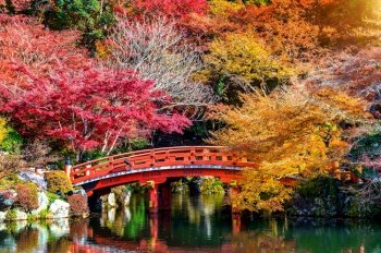 Autumn season in Japan, Beautiful autumn park.