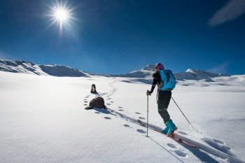 Woman with mountain skiing and climbing two friends dogs walking in snow landscape