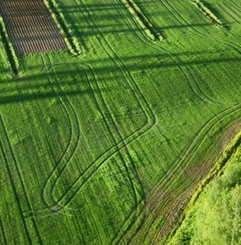 Agricultural green fields birds eye view long shadows. Agricultural land
