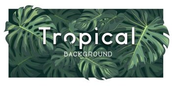 Tropical monstera green leaf banner vector background, Eps 10 illustration