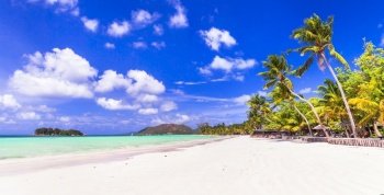 beautiful tropical beach  in Seychelles , Praslin island