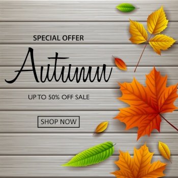 Vector illustration of Autumn sale banner with fall leaves on wooden background