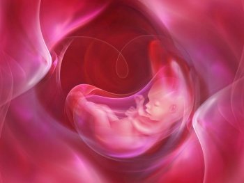 medicine abstract background with embryo