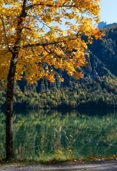 Sunny idyllic colorful autumn alpine view. Peaceful mountain lake with clear transparent water and reflections.  Almsee lake, Upper Austria.